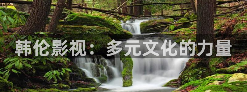 爱丫爱丫免费观看高清电视剧网：韩伦影视：多元文化的力量