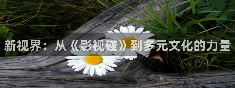 爱爱丫爱丫在线观看高清电视剧：新视界：从《影视碰》到多元文化的力量