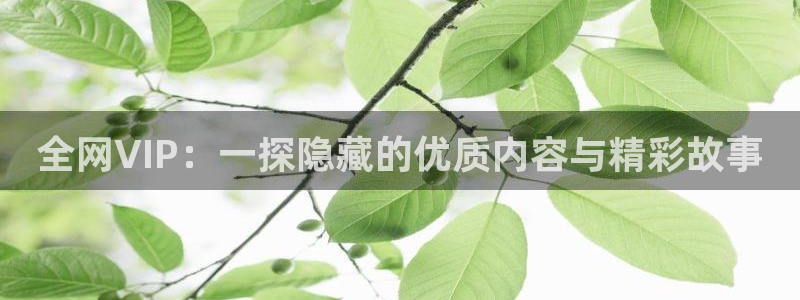 爱丫爱丫影院电视剧免费播放：全网VIP：一探隐藏的优质内容与精彩故事