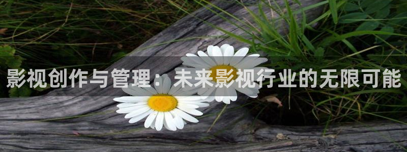 辣妹子爱丫爱丫免费观看电视剧：影视创作与管理：未来影视行业的无限可能