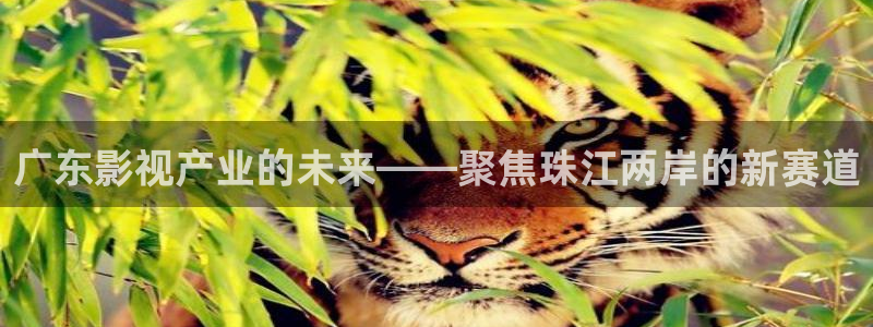 爱丫爱丫免费观看电视剧最新一期：广东影视产业的未来——聚焦珠江两岸的新赛道